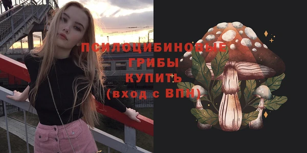 прущая мука Алзамай